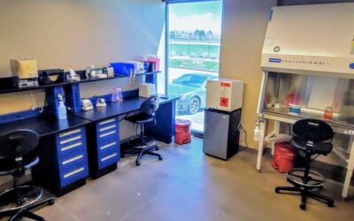 IVD System Development: Don’t Forget the Assay